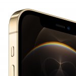 Apple iPhone 12 Pro Dourado 256 GB 6.1 6 GB RAM Câm. Tripla 12 MP Selfie 12 MP