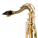 Saxofone Tenor Michael WTSM35 Acompanha Pad Save e Case Fibra